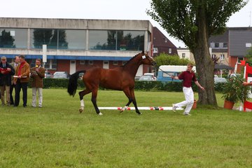 Bild 40 - Elmshorn am 9.6.10